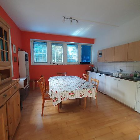 Zentral Gelegene Wohnung Mit Grossem Garten Interlaken Dış mekan fotoğraf