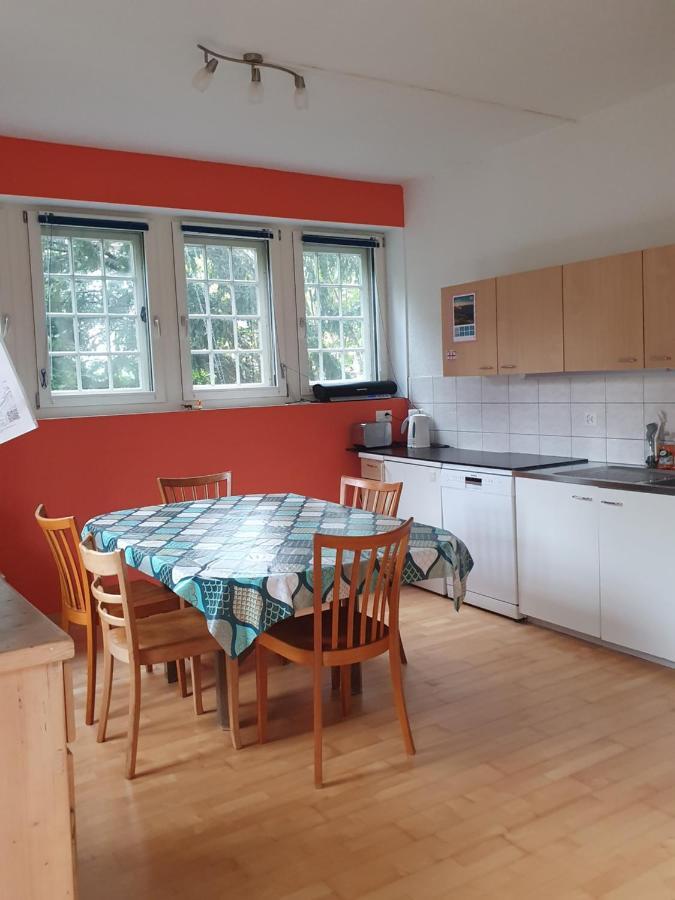 Zentral Gelegene Wohnung Mit Grossem Garten Interlaken Dış mekan fotoğraf