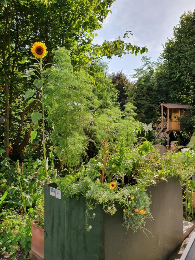Zentral Gelegene Wohnung Mit Grossem Garten Interlaken Dış mekan fotoğraf