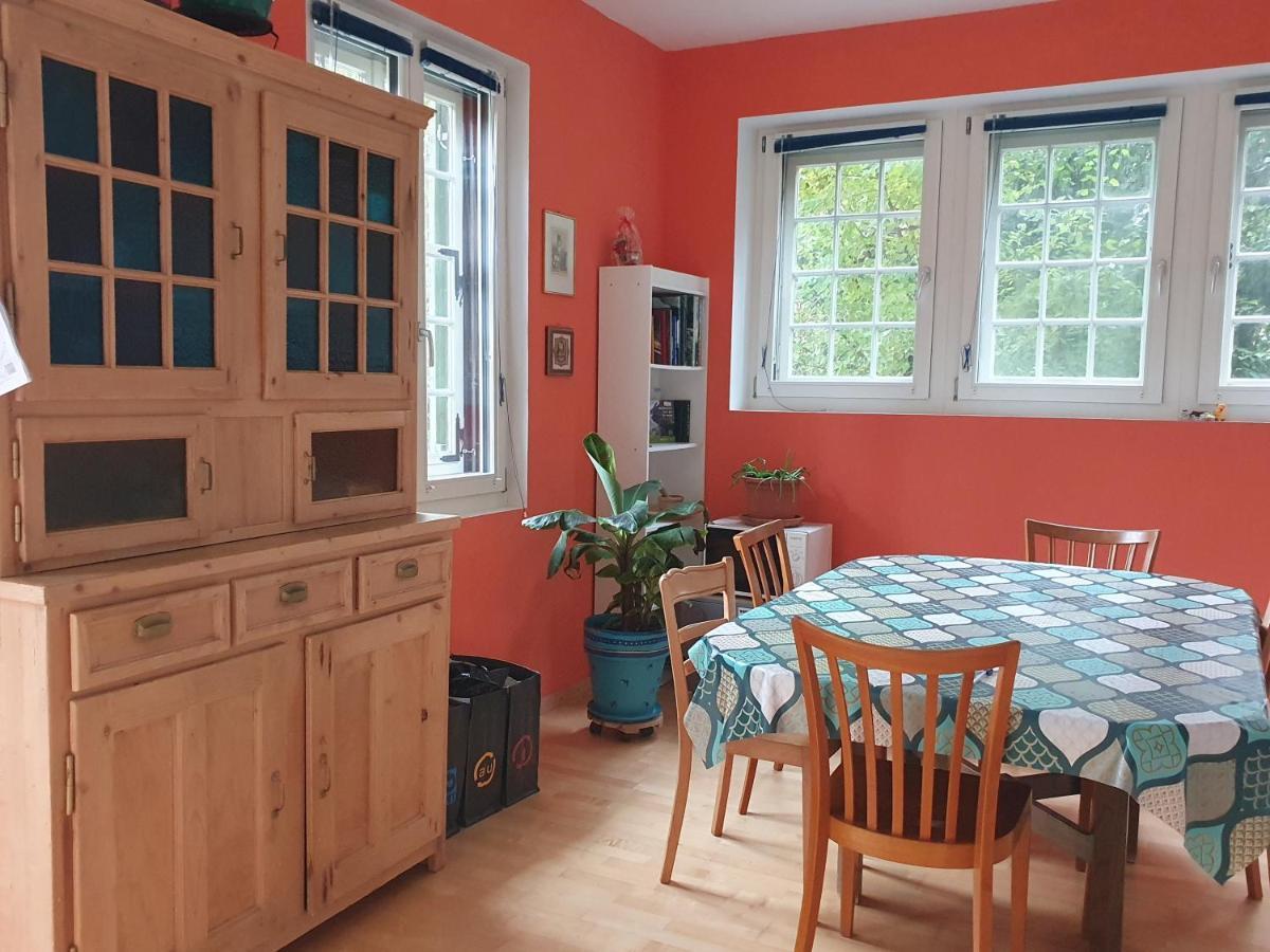 Zentral Gelegene Wohnung Mit Grossem Garten Interlaken Dış mekan fotoğraf
